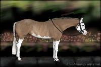 Horse Color:Silver Buckskin Splash Rabicano 