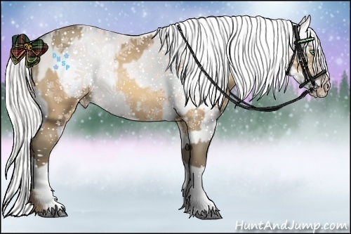 Horse Color:Amber Cream Champagne Frame  and Cremello Splash Blanket 