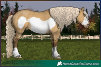 Horse Color:Chocolate Palomino Dun Mushroom Frame 