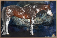 Horse Color:Bay Sabino 