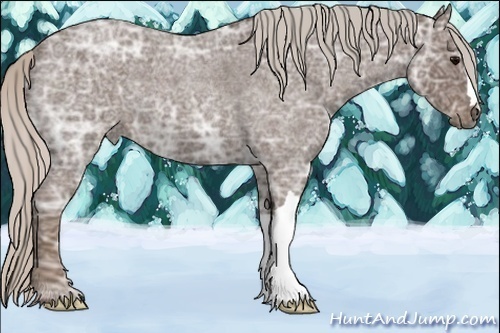 Horse Color:Silver Blue Ice Roan