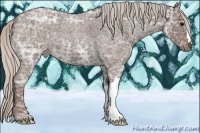 Horse Color:Silver Blue Ice Roan 