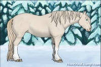 Horse Color:Smoky Creme Rabicano