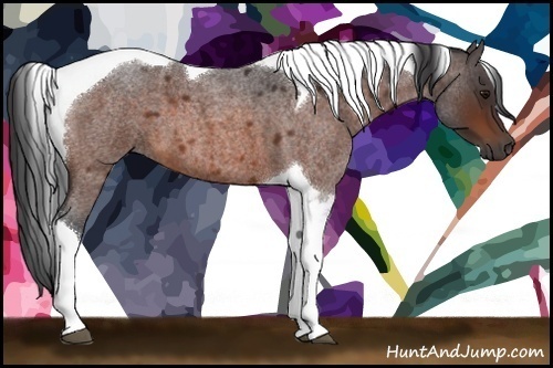 Horse Color:Bay Roan Tobiano