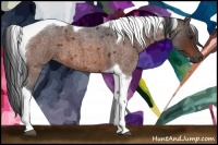 Horse Color:Bay Roan Tobiano