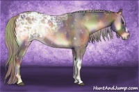 Horse Color:Nacre Liver Red Onyx Ice 