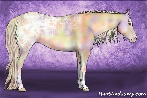 Horse Color:Nacre Gold Cream Champagne Ice Onyx 