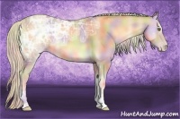 Horse Color:Nacre Gold Cream Champagne Ice Onyx
