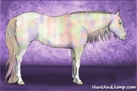 Horse Color:Nacre Gold Cream Champagne Ice Pearl Onyx 