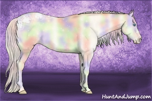 Horse Color:Nacre Silver Amber Cream Champagne Ice Pearl Onyx 