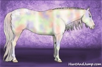 Horse Color:Nacre Silver Amber Cream Champagne Ice Pearl Onyx 