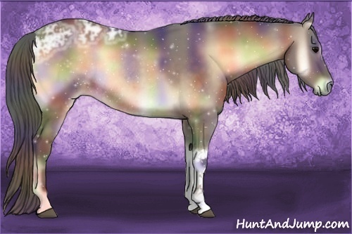 Horse Color:Nacre Bay Ice Onyx Rabicano 