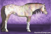 Horse Color:Nacre Classic Champagne Ice Onyx 