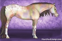 Horse Color:Nacre Amber Champagne Ice Onyx 