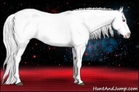 Horse Color:Silver Brown Chinchilla Appaloosa Rabicano 