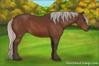 Horse Color:Silver Bay