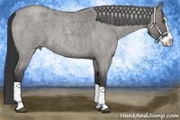 Horse Color:Grullo Roan Splash 