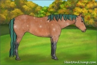 Horse Color:Painted Bay 
