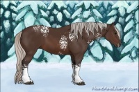 Horse Color:White Spotted Silver Brown Sabino Rabicano