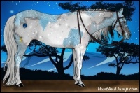 Horse Color:ERROR: UNKNOWN ANOMALY and ERROR: UNKNOWN ANOMALY