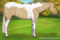 Horse Color:Palomino Dun Tobiano Rabicano