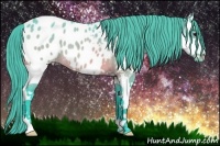 Horse Color:Watercolor Buckskin Roan Splash Appaloosa 