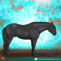 Horse Color:Black 