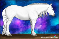 Horse Color:Gray Watercolor Buckskin Roan Dun Splash Frame Rabicano