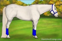 Horse Color:Perlino 