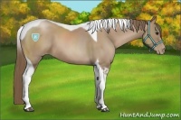 Horse Color:Black Pearl Sabino Tobiano