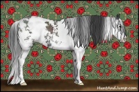 Horse Color:Black Sabino Rabicano 