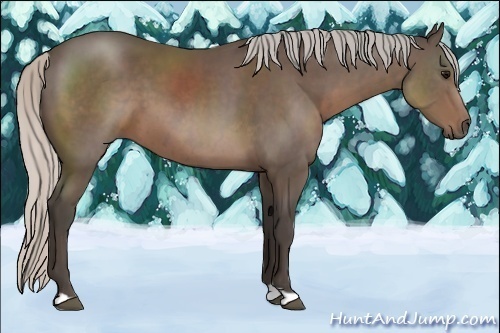 Horse Color:Silver Black 