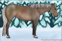 Horse Color:Silver Black 
