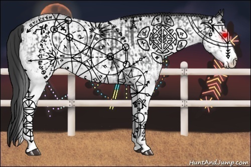 Horse Color:White Spotted Blue Roan Rabicano  and White Spotted Smoky Blue Roan Rabicano 