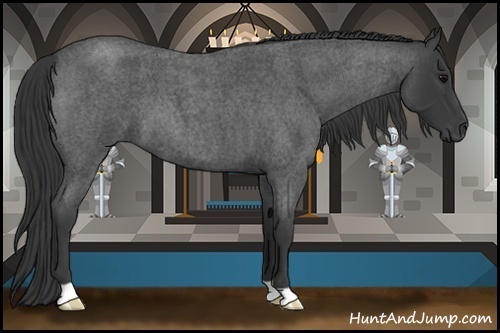 Horse Color:Blue Roan 