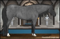 Horse Color:Blue Roan 