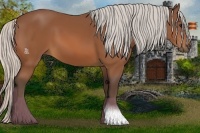 Horse Color:Silver Bay 
