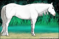 Horse Color:Liver Chestnut Appaloosa 