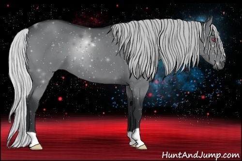 Horse Color:Silver Black Chinchilla 