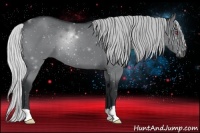 Horse Color:Silver Black Chinchilla 