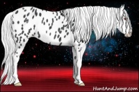 Horse Color:Silver Black Chinchilla Appaloosa Rabicano 