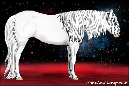 Horse Color:Brown Chinchilla Pearl Appaloosa Rabicano 