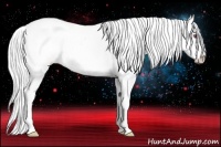 Horse Color:Brown Chinchilla Pearl Appaloosa Rabicano