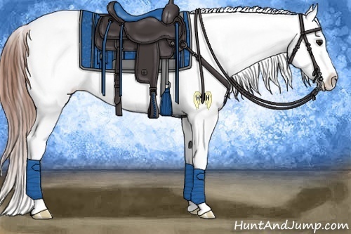 Horse Color:Bay Ice Tobiano Near Leopard 