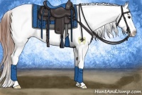 Horse Color:Bay Ice Tobiano Appaloosa 