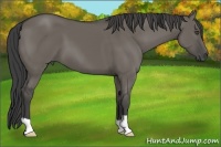 Horse Color:Smoky Grullo 