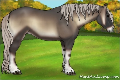 Horse Color:Silver Blue Onyx 