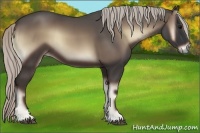 Horse Color:Silver Blue Onyx 