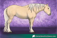 Horse Color:Palomino