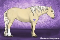Horse Color:Palomino